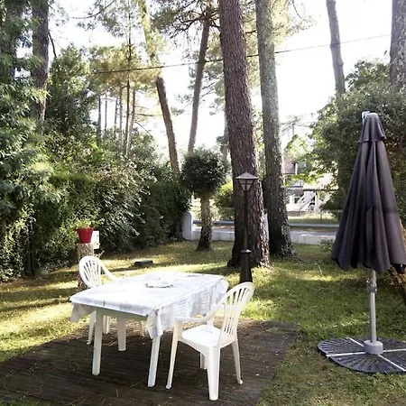 Ideal For Holidays In The Peace