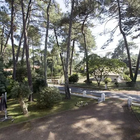 Apartment Ideal For Holidays In The Peace